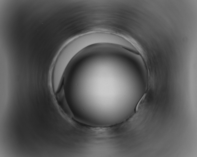 X0000093140862200710101116