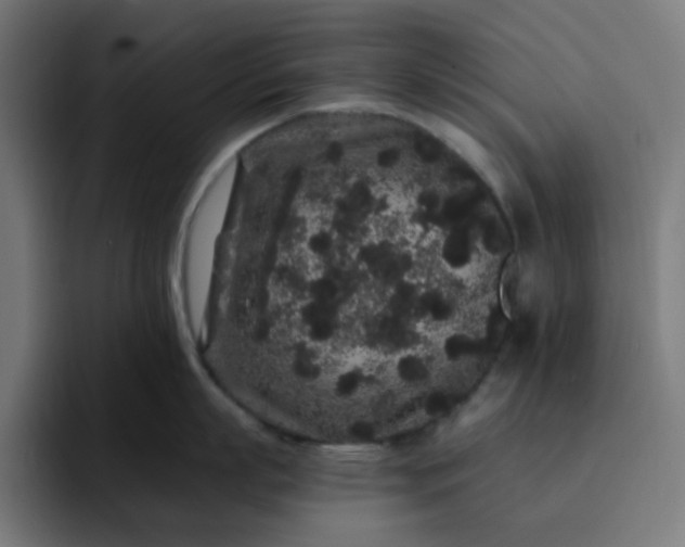 X0000093140863200710101116