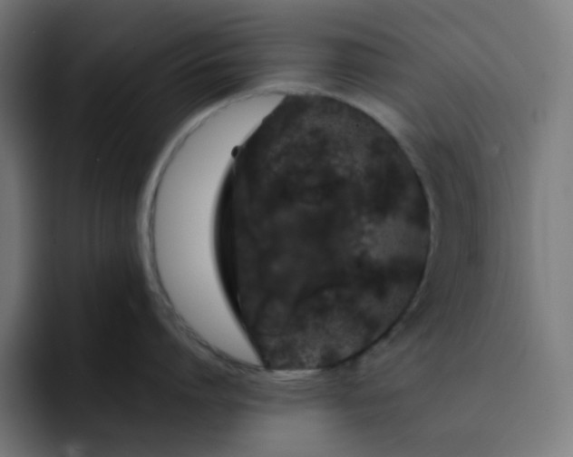 X0000093140864200710101116