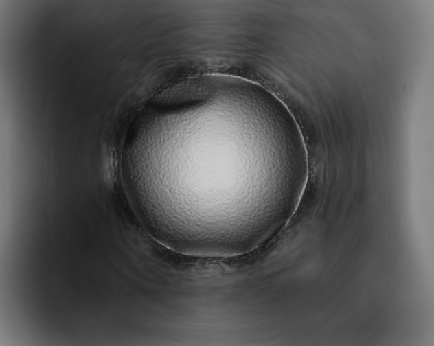 X0000093140866200710101115