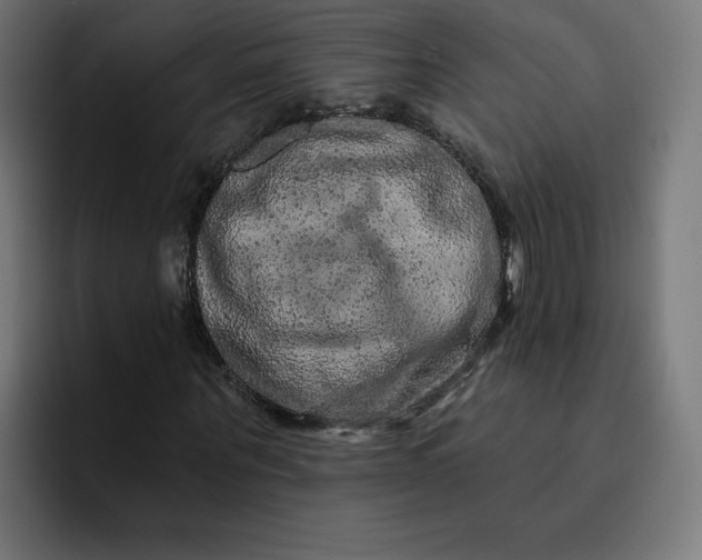 X0000093140867200710101115