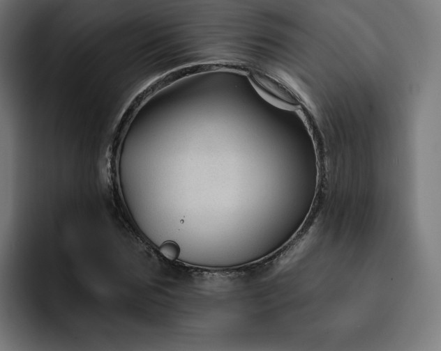 X0000093140875200710101115