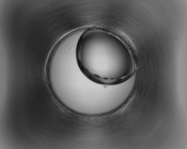 X0000093140876200710101115