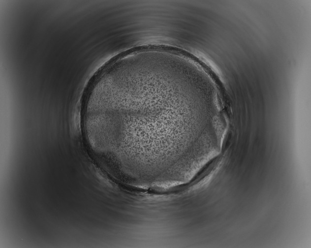 X0000093140877200710101115