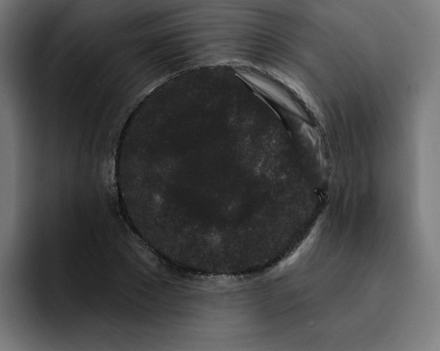 X0000093140881200710101115