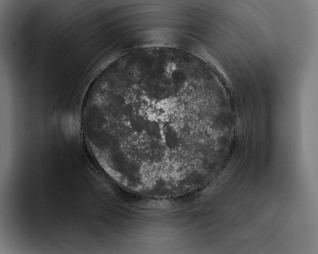 X0000093140882200710101115