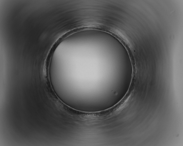 X0000093140883200710101115