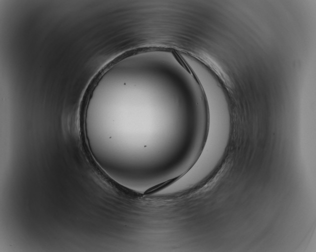 X0000093140884200710101115