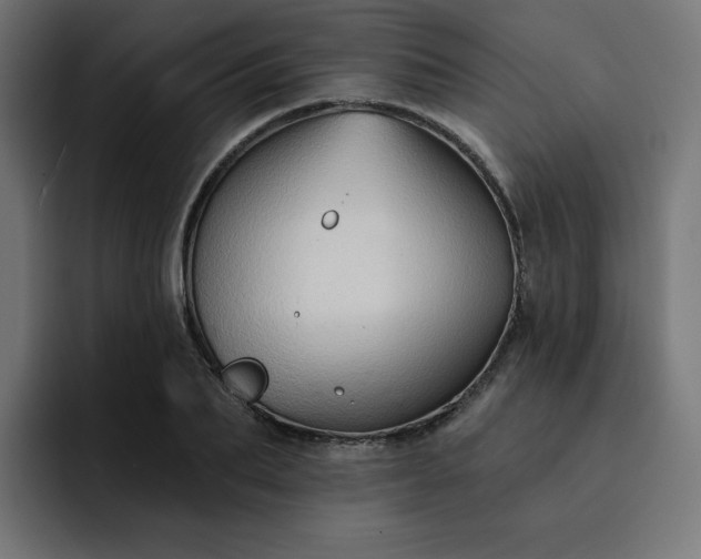 X0000093140887200710101115