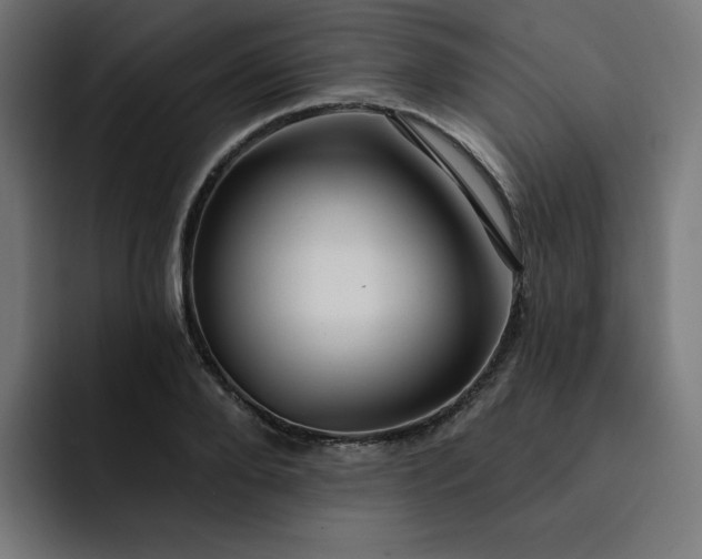 X0000093140888200710101115