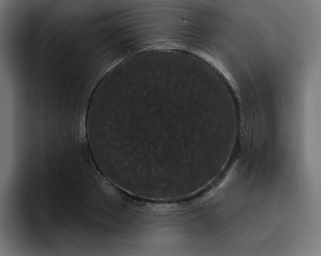 X0000093140889200710101115