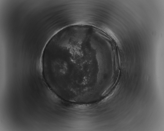 X0000093140892200710101115