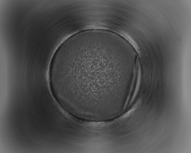 X0000093140893200710101115