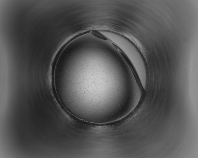 X0000093140894200710101115