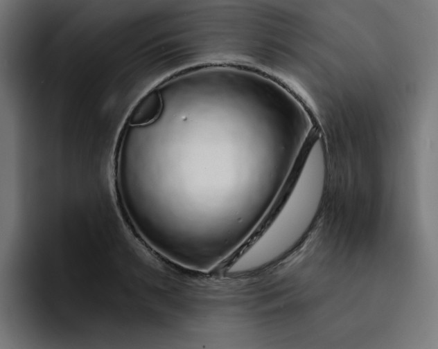 X0000093140895200710101115