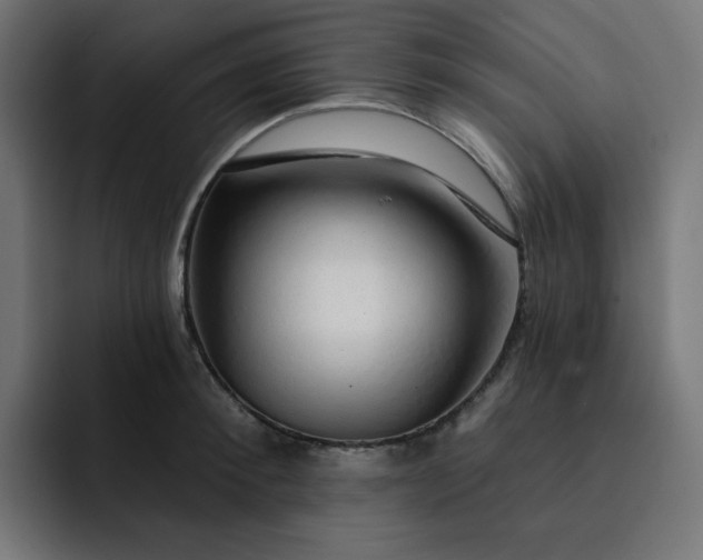 X0000093140900200710101115