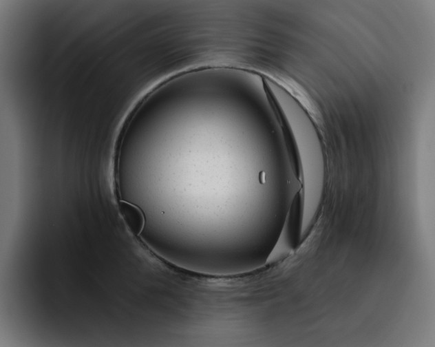 X0000093140904200710101115