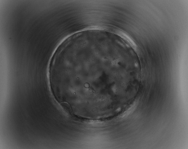 X0000093140907200710101115