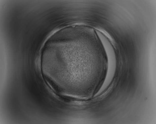 X0000093140910200710101115