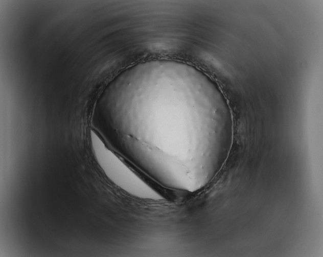 X0000093140917200710101114