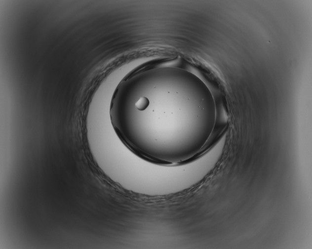 X0000093140920200710101114