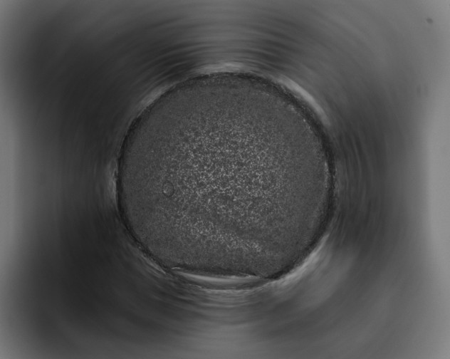 X0000093140921200710101114