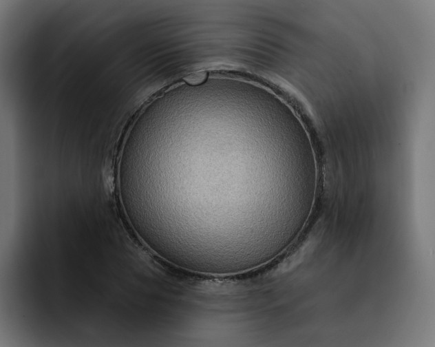 X0000093140929200710101114