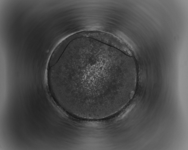 X0000093140932200710101115