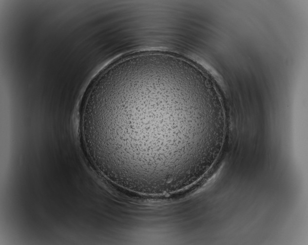 X0000093140933200710101115