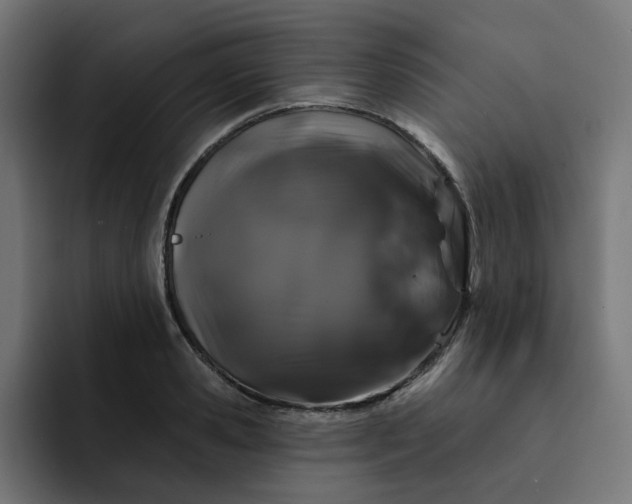 X0000093140941200710101115