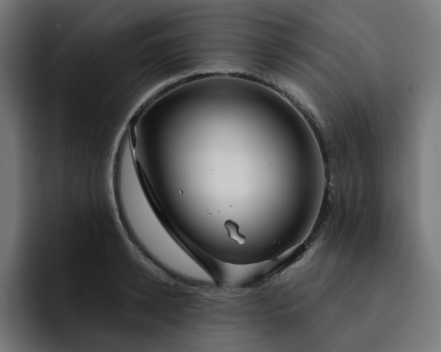 X0000093140942200710101115