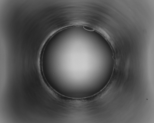 X0000093140947200710101115