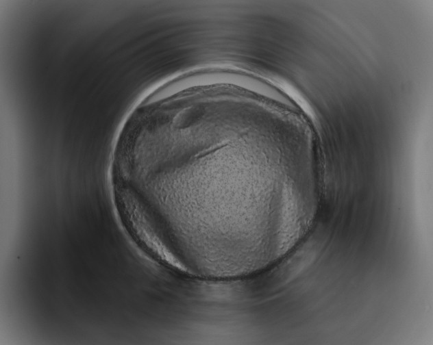 X0000093140951200710101115