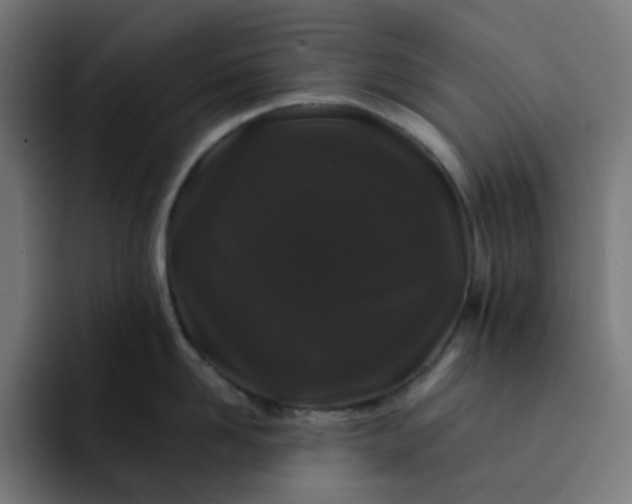 X0000093140958200710101115