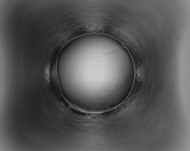 X0000093140963200710101114