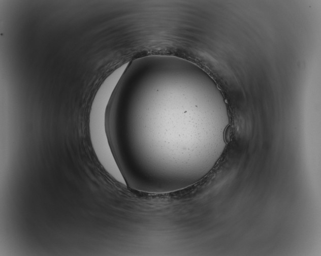 X0000093140964200710101114