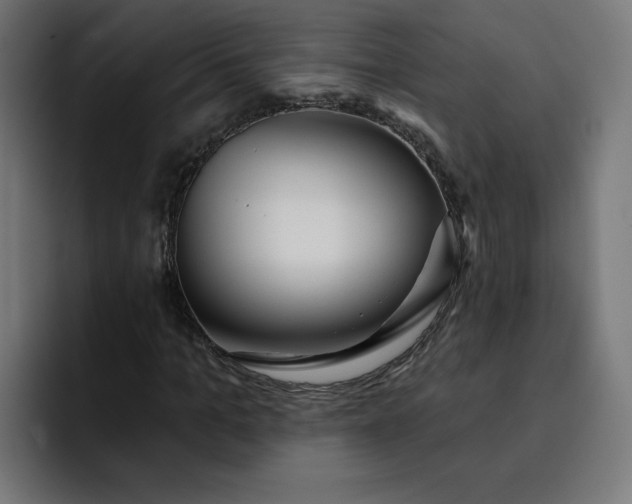 X0000093140965200710101114