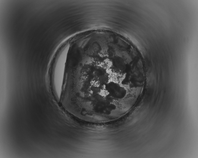 X0000093140975200710101114