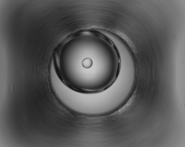 X0000093140977200710101114