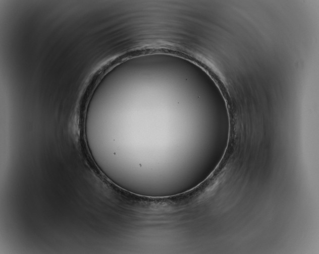 X0000093140979200710101114