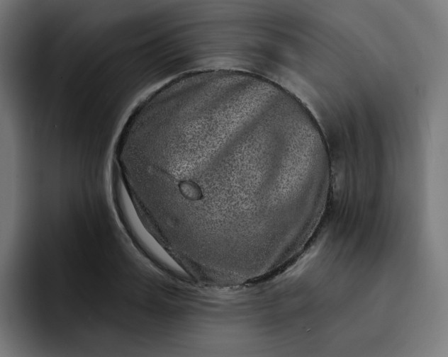 X0000093140987200710101114