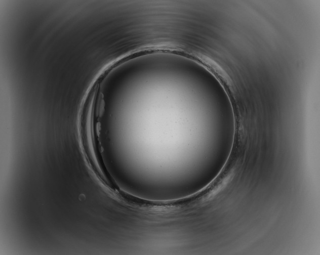 X0000093140989200710101114