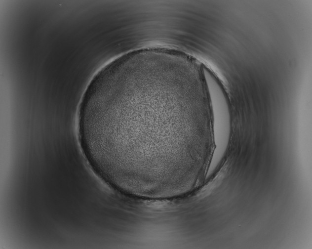 X0000093140991200710101114