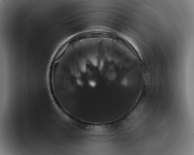 X0000093140995200710101114