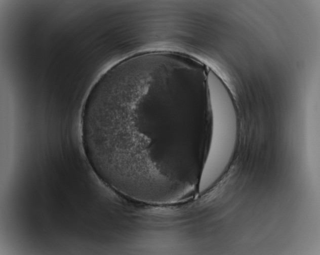 X0000093140998200710101114