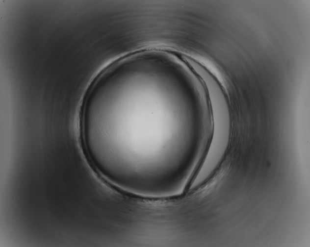 X0000093140999200710101114