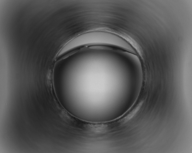 X0000093141001200710101114