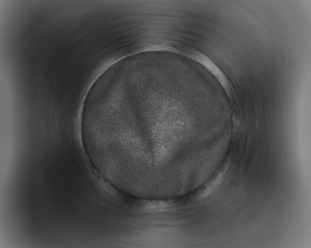 X0000093141002200710101114