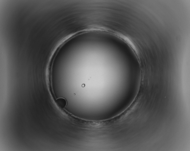 X0000093141003200710101114