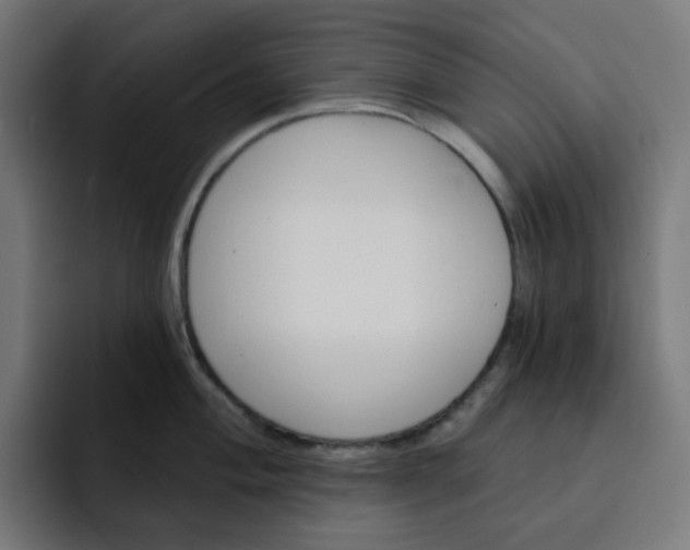 X0000093141004200710101114